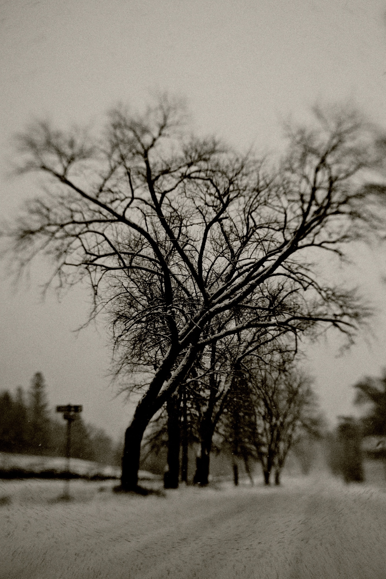 Train Bridge Through Window