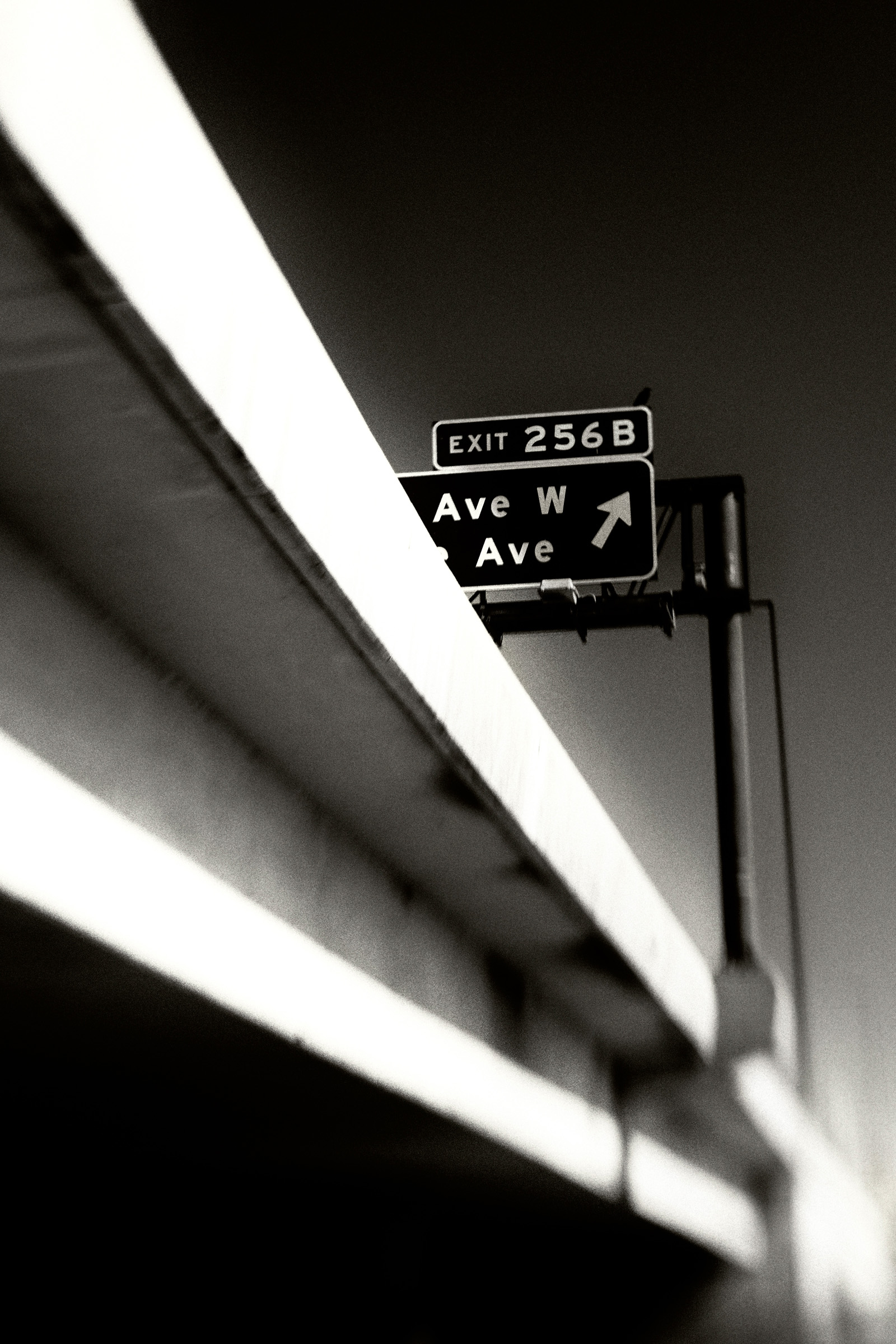 Under the Freeway Exit and Crow