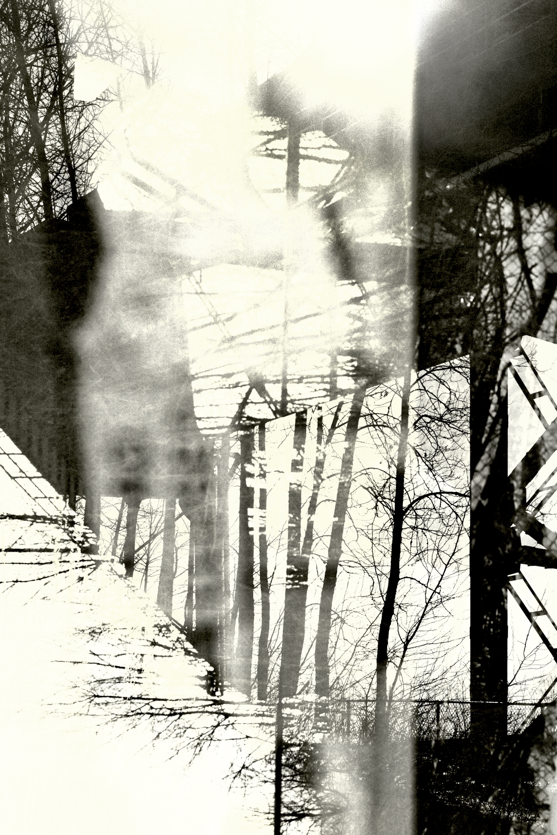 Trees and Bridge Abstract multiple exposure 