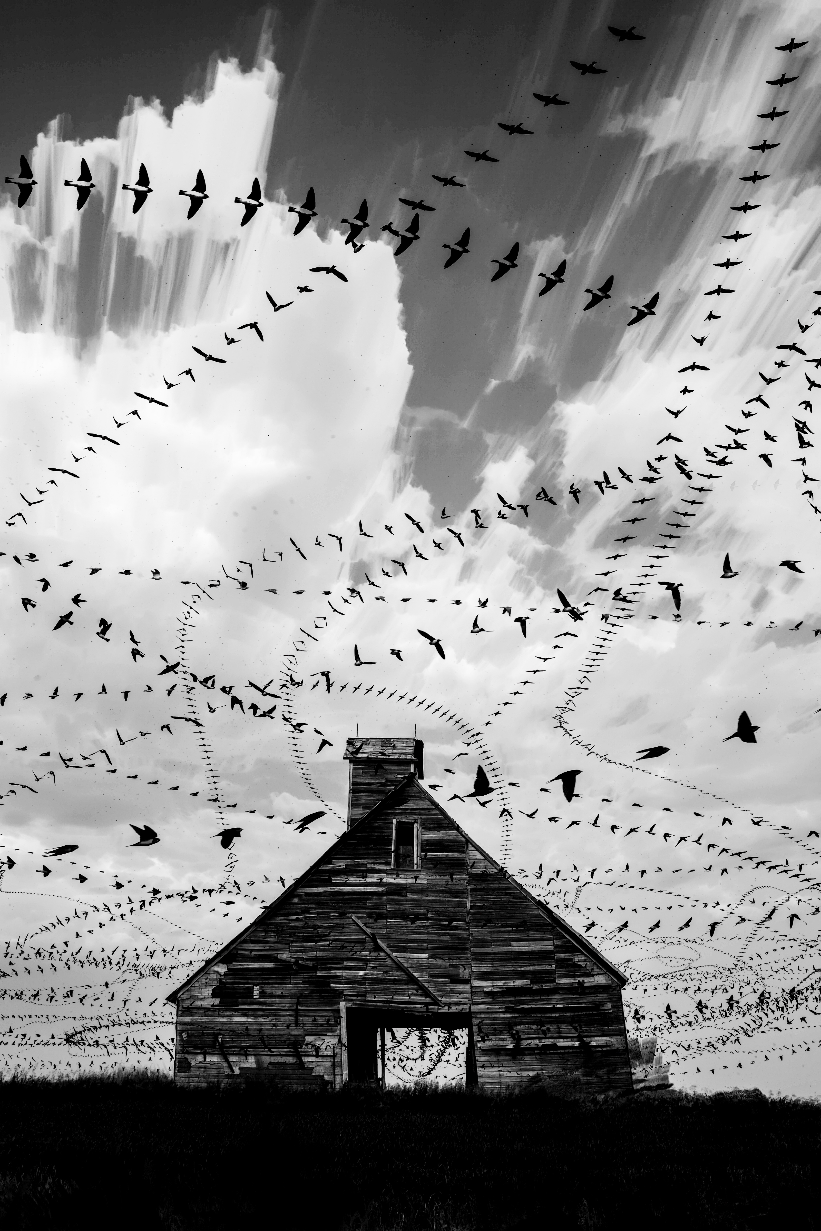 Birds on the Prairie