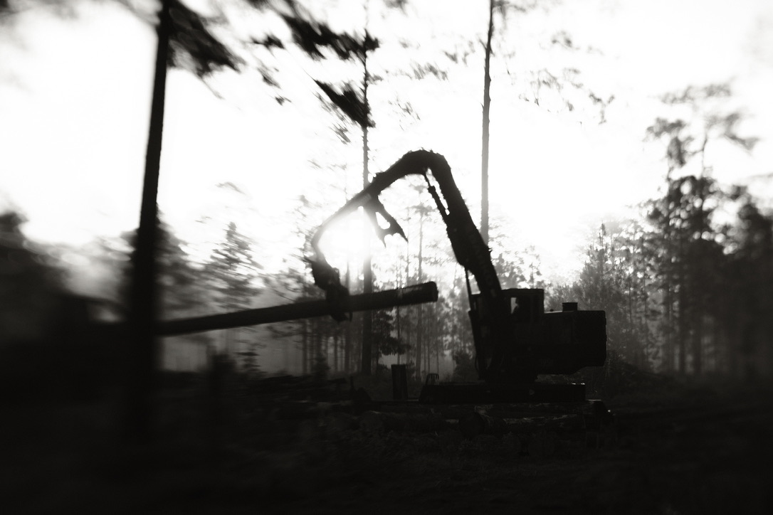 Logging