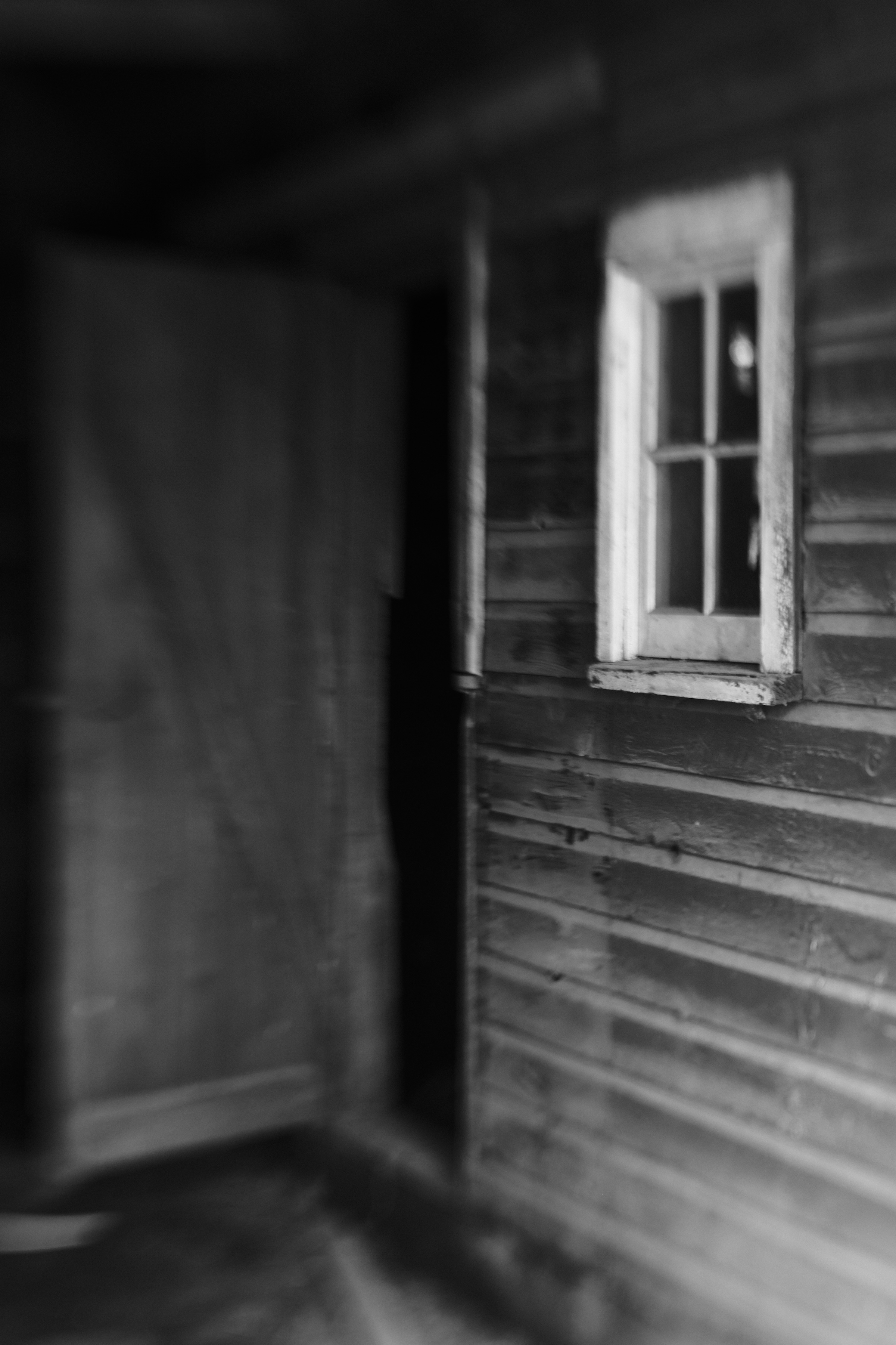 Barn Door and Window