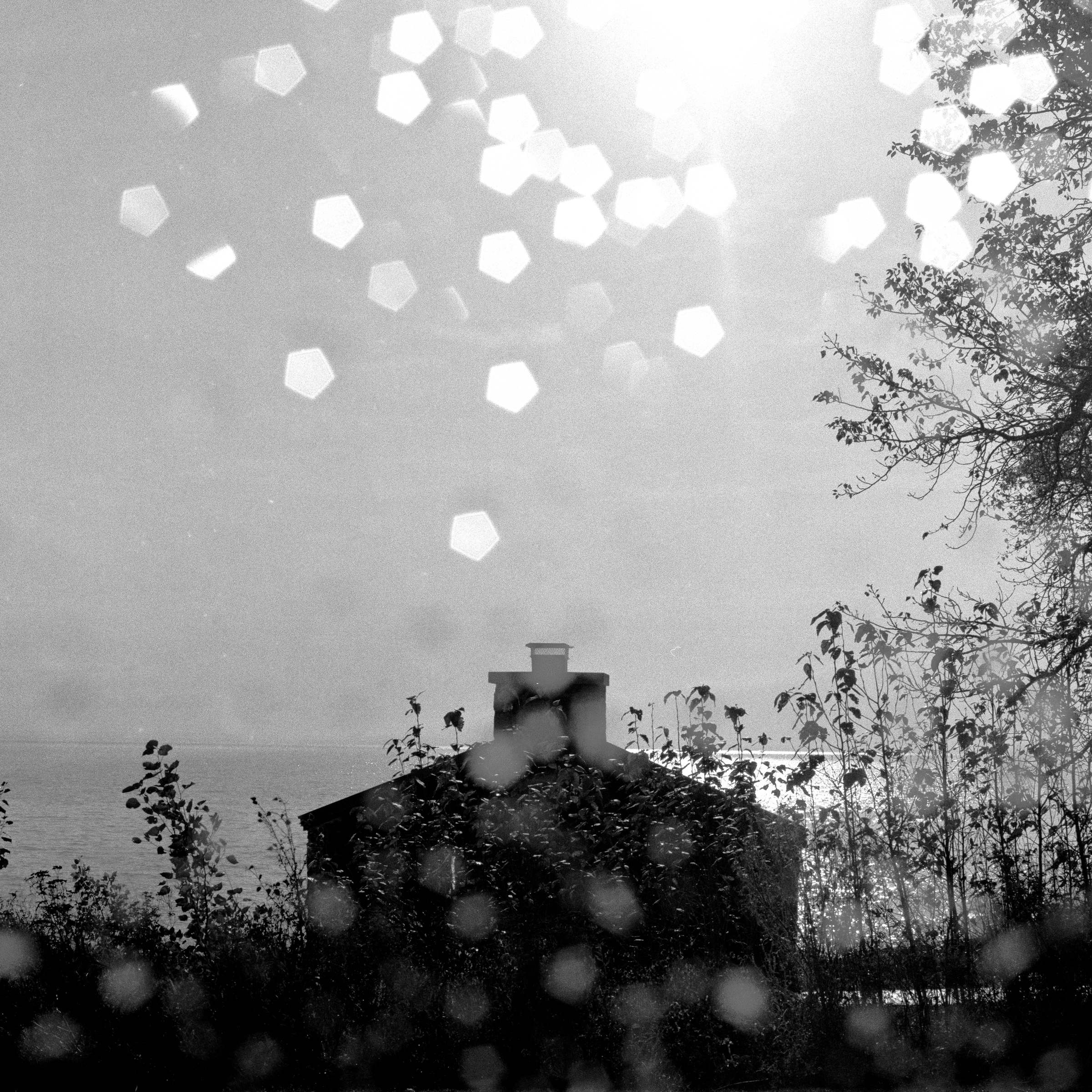 Fire Shelter Through the Window