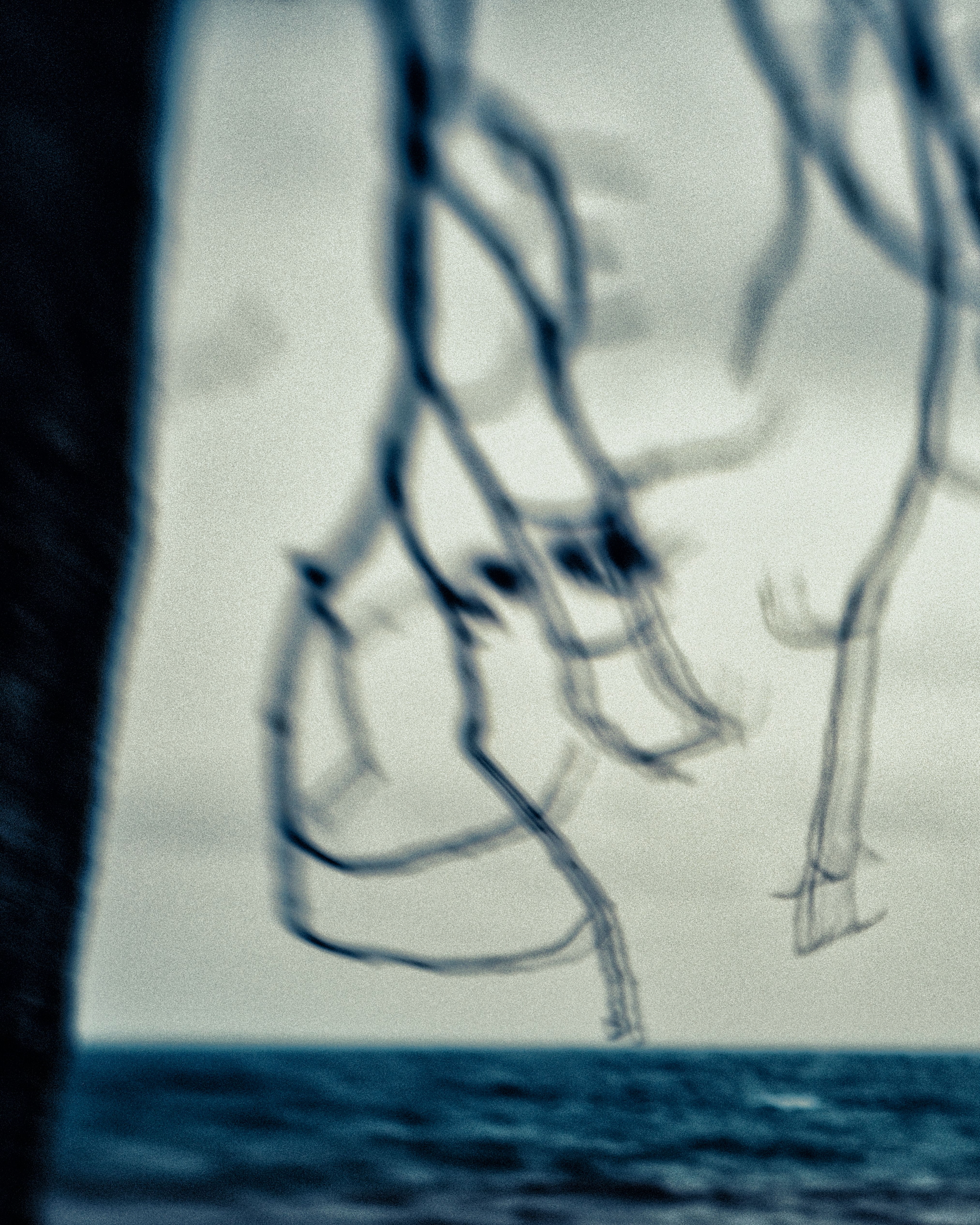 Tree in the wind on the lake