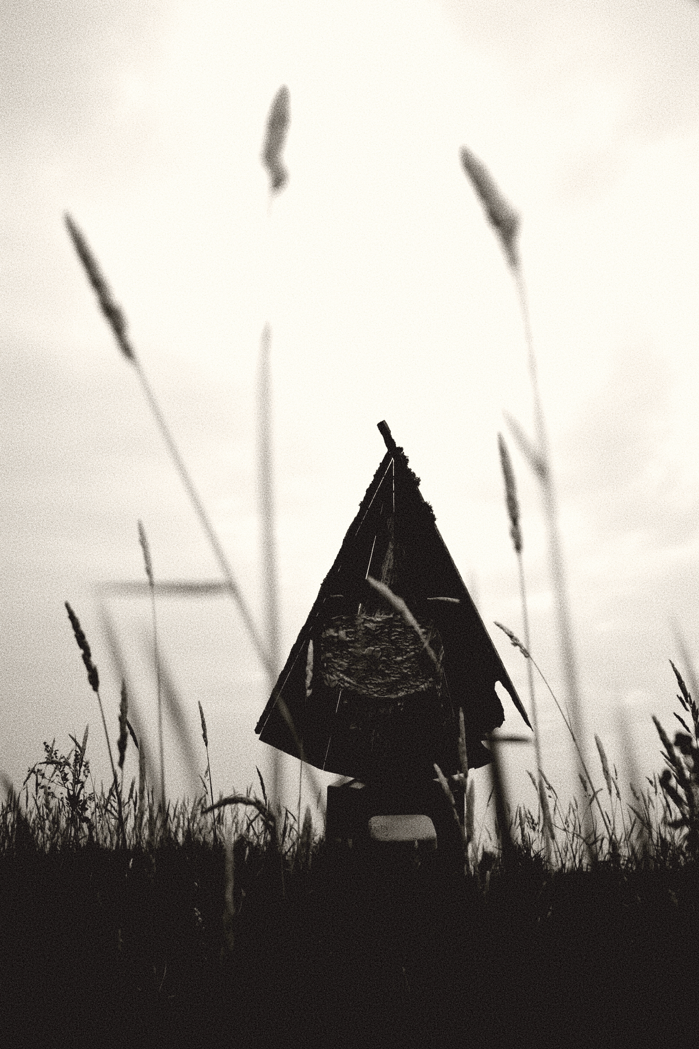 Weird thing on the road