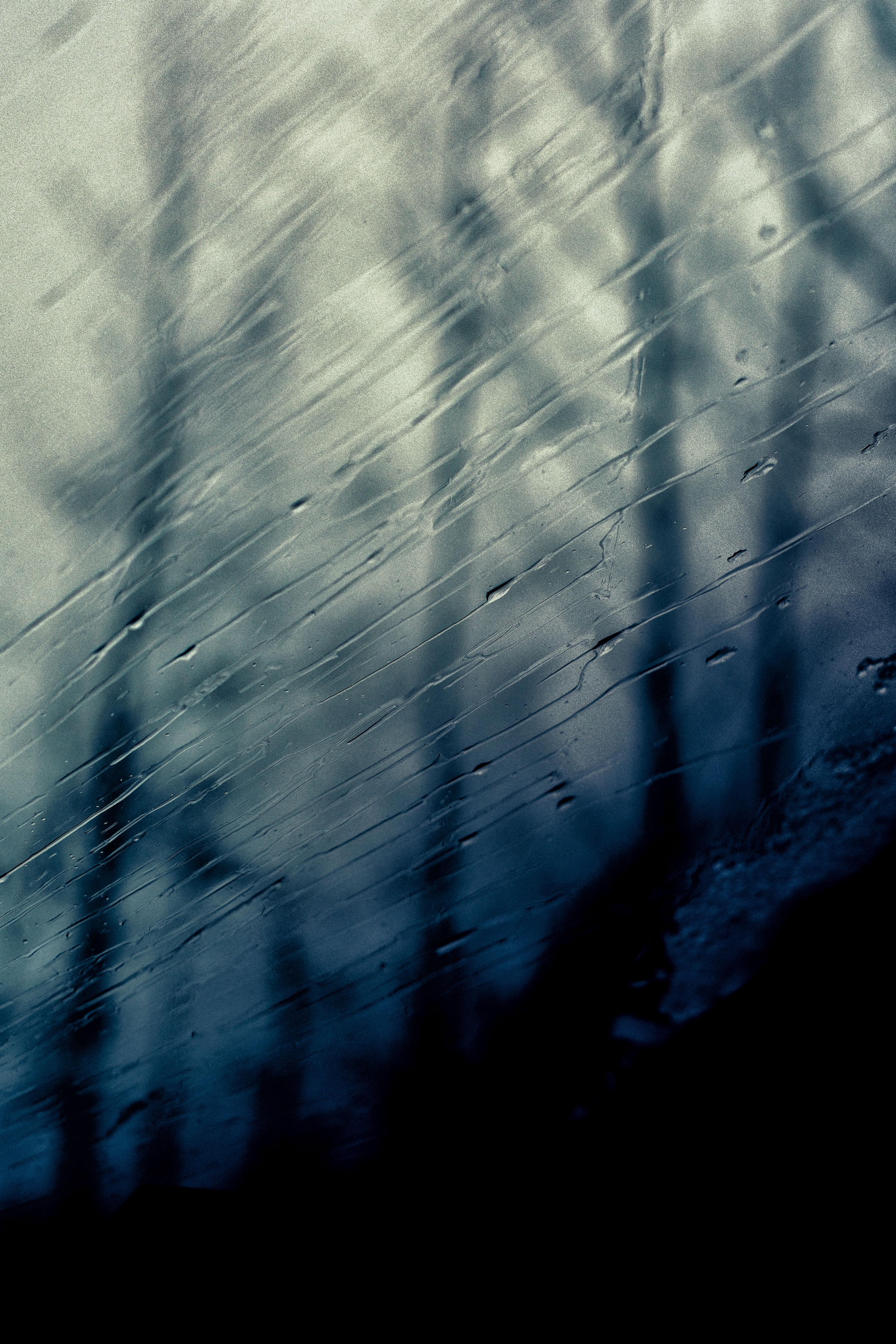 Trees through a wet windshield 