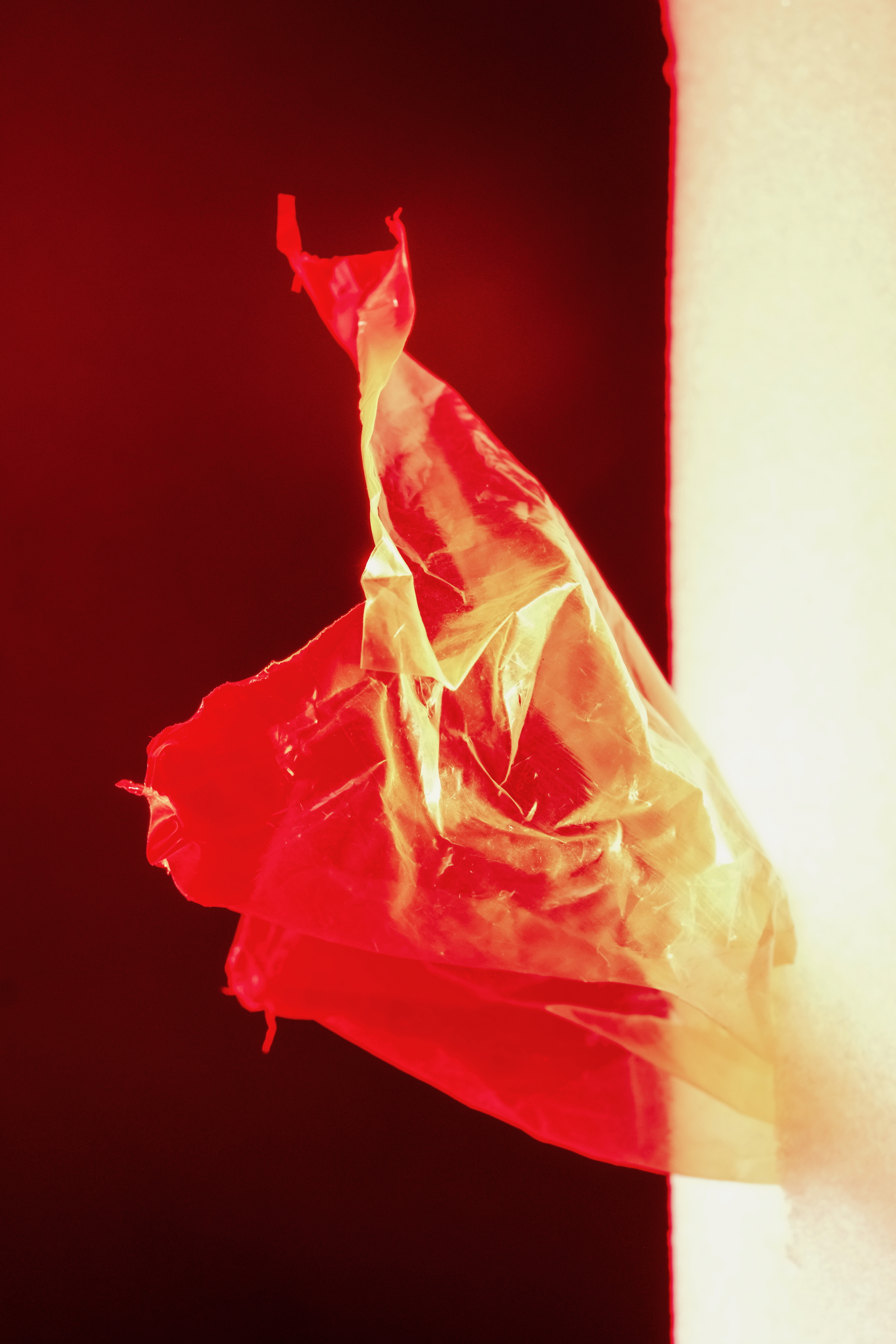 Packing foam and plastic