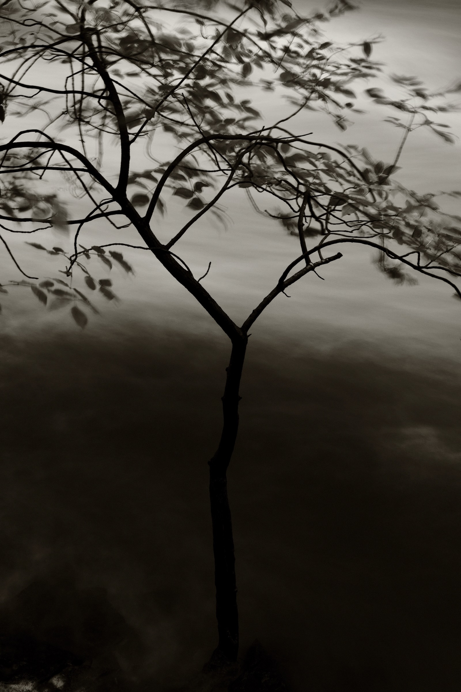 High Water Lester River