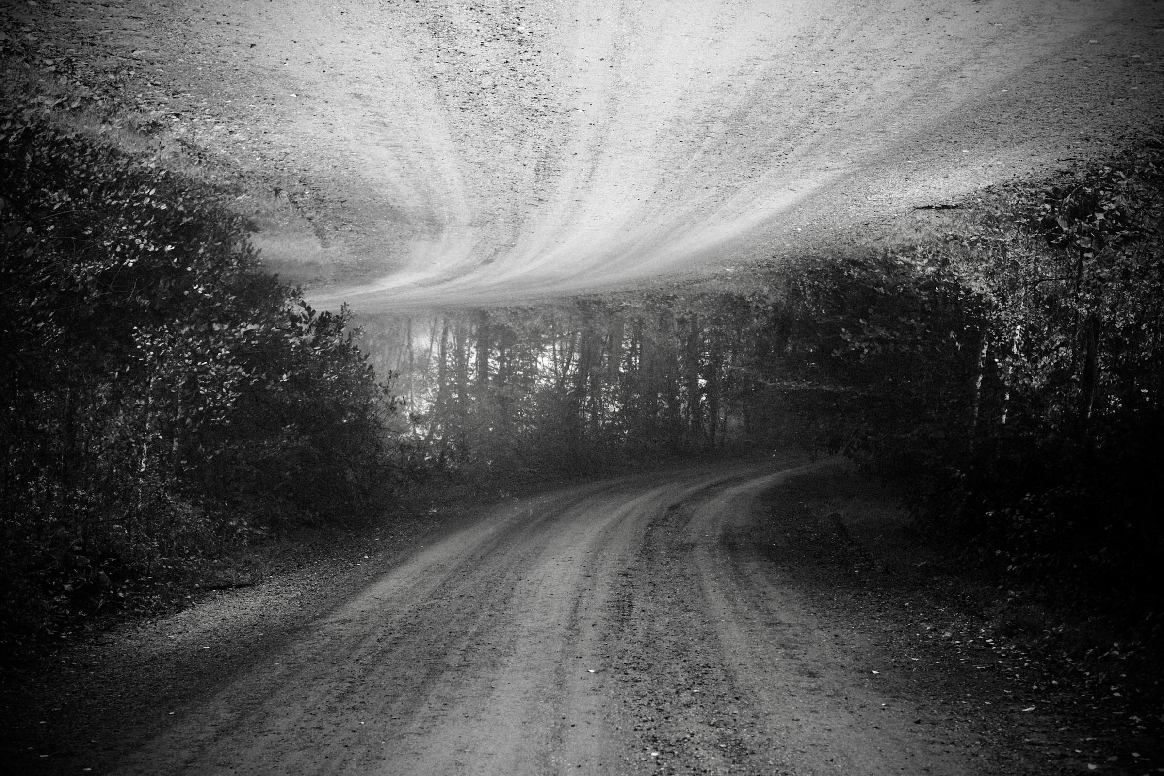 Road flipped and mirrored