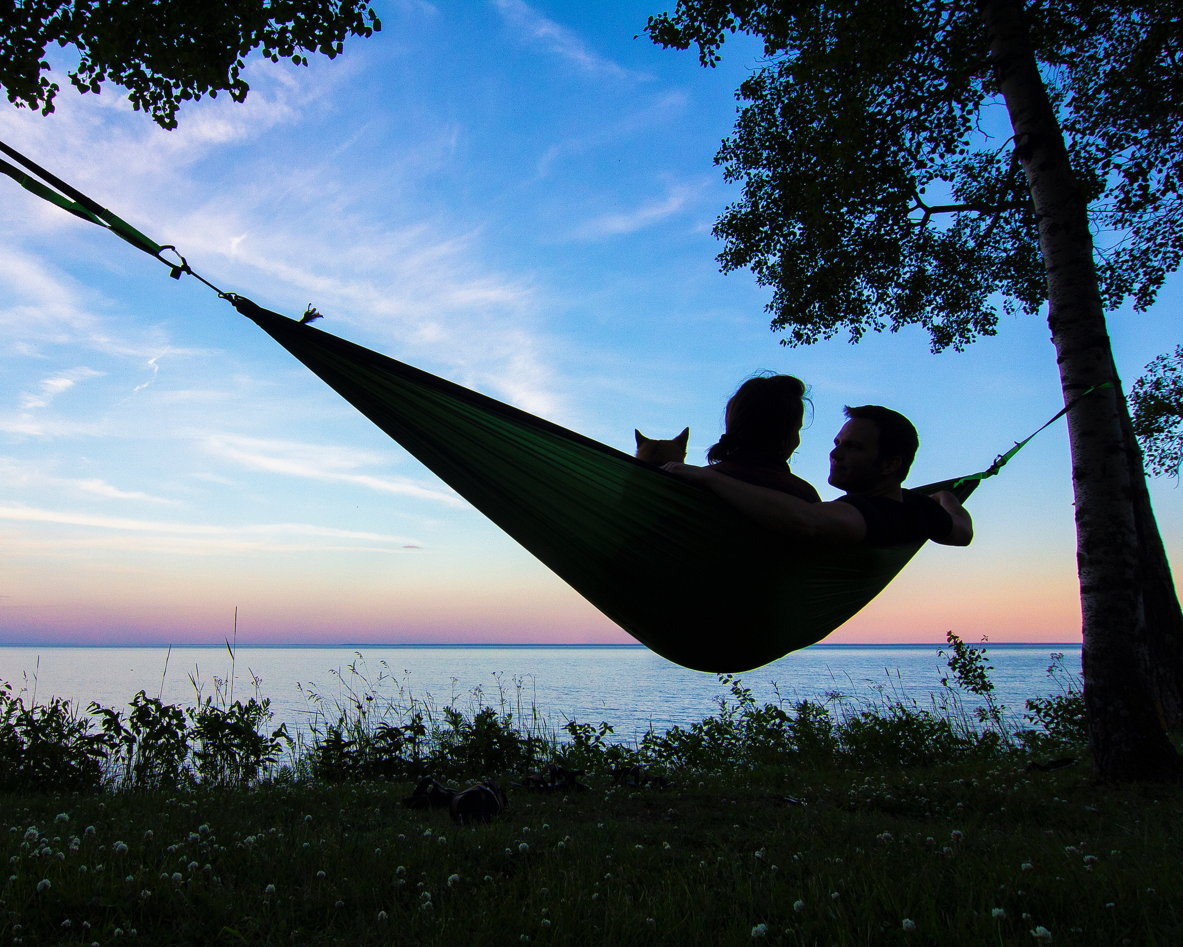 Couple and dog in hammock