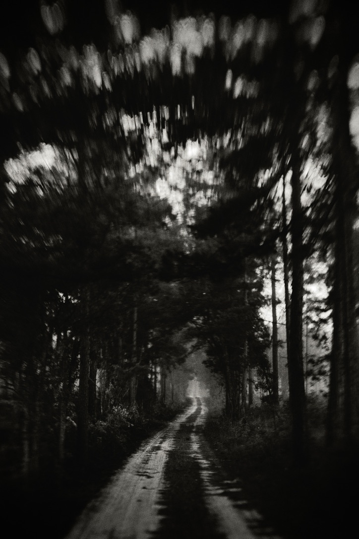 Trail through the trees