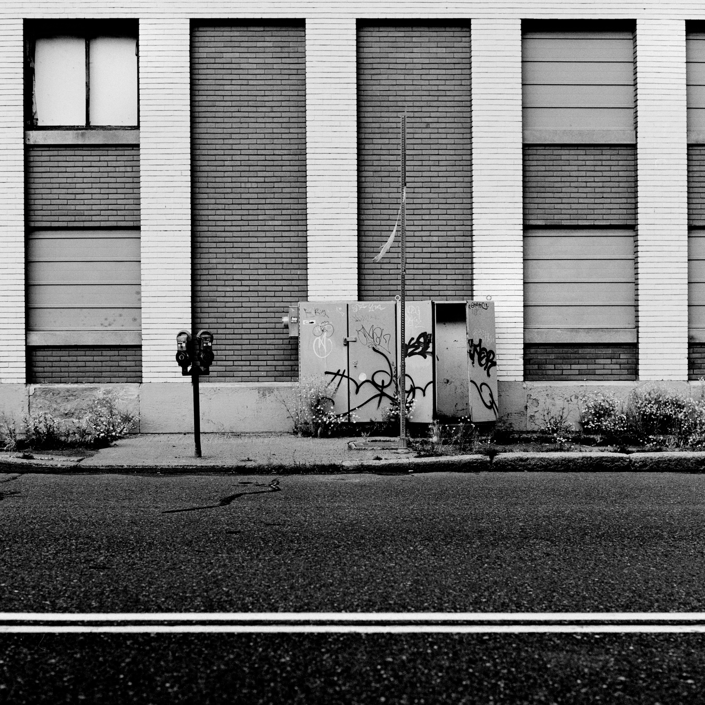 Lincoln Park Side Street