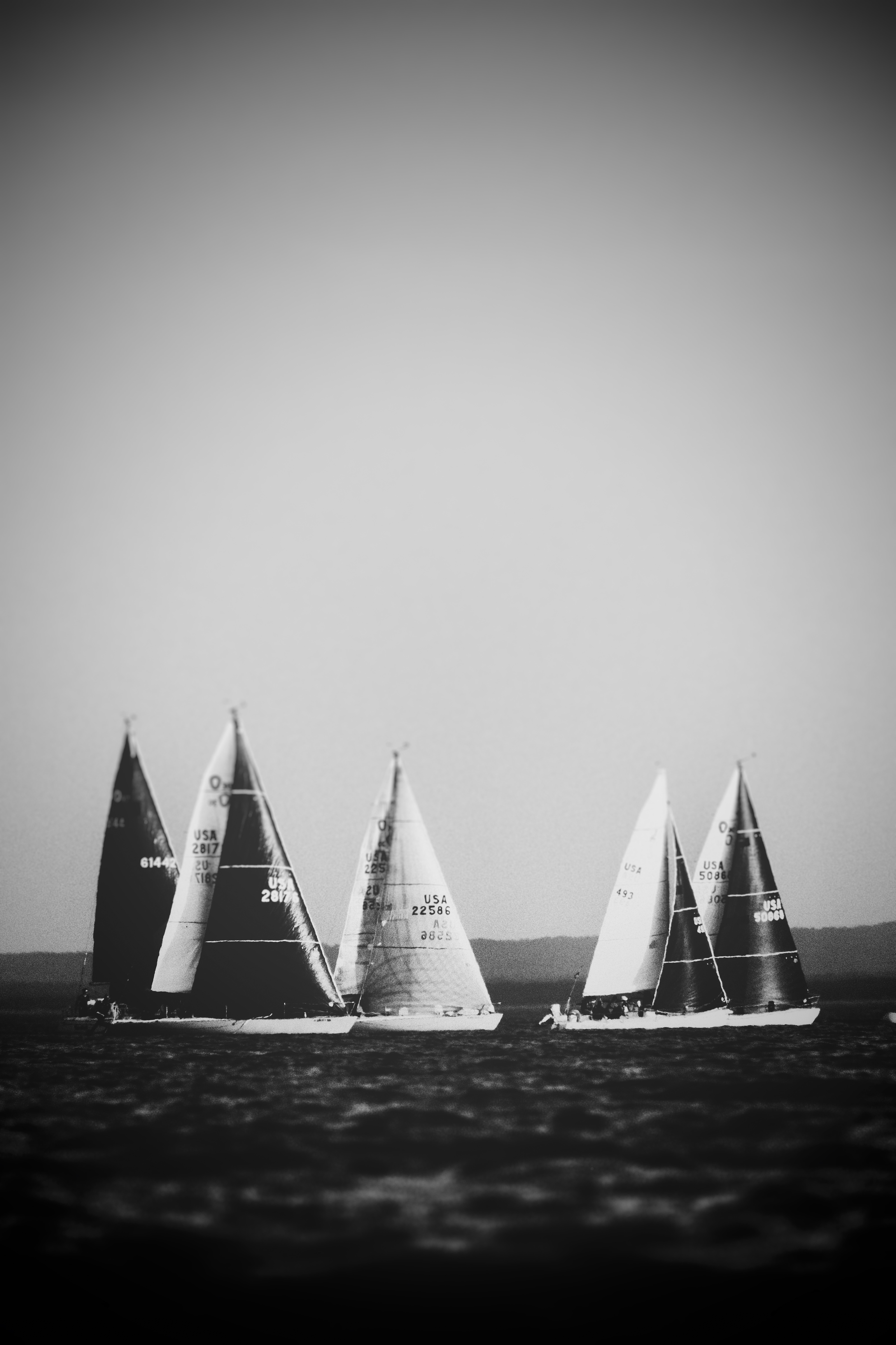 Sailboats