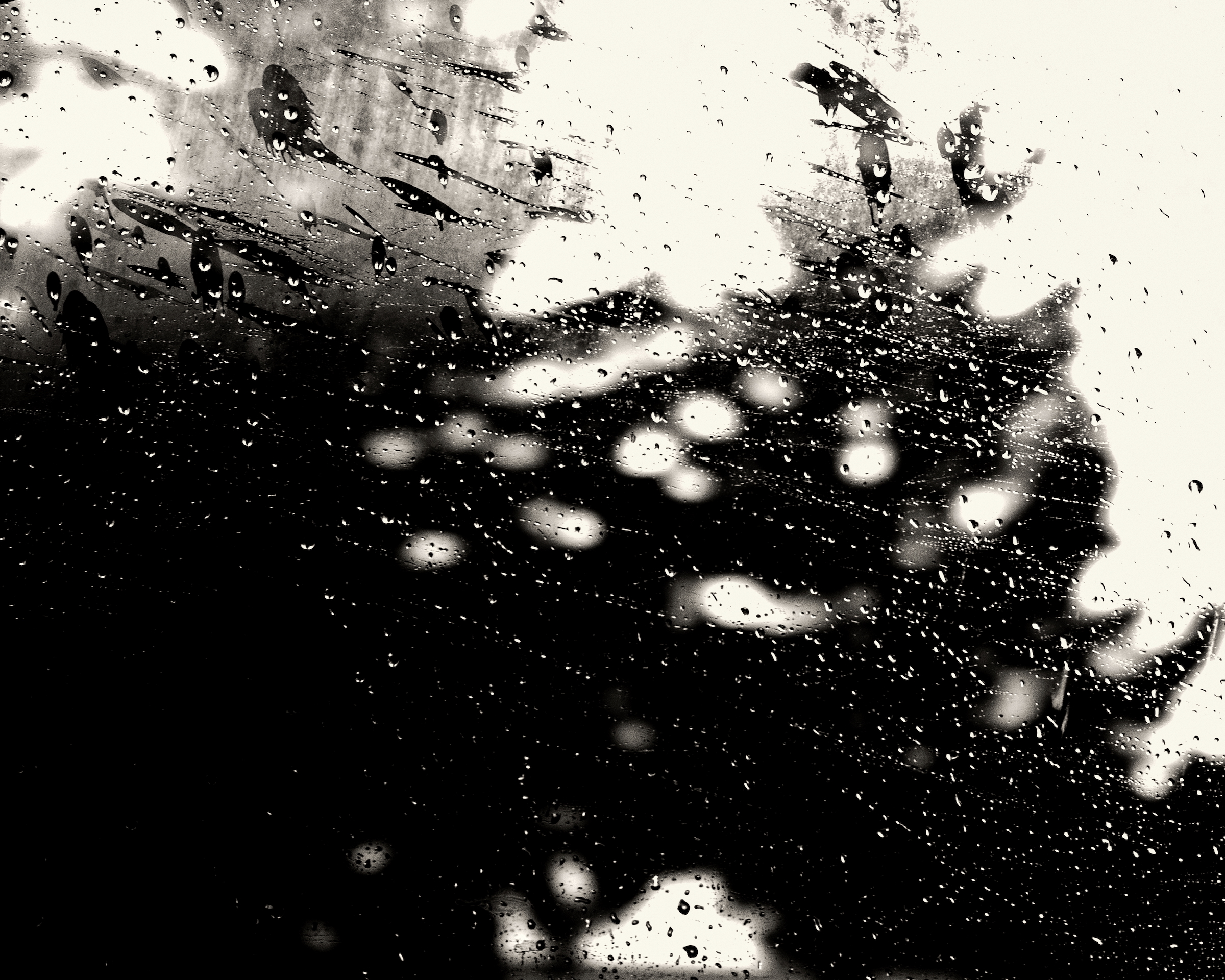 Pines through a rainy window