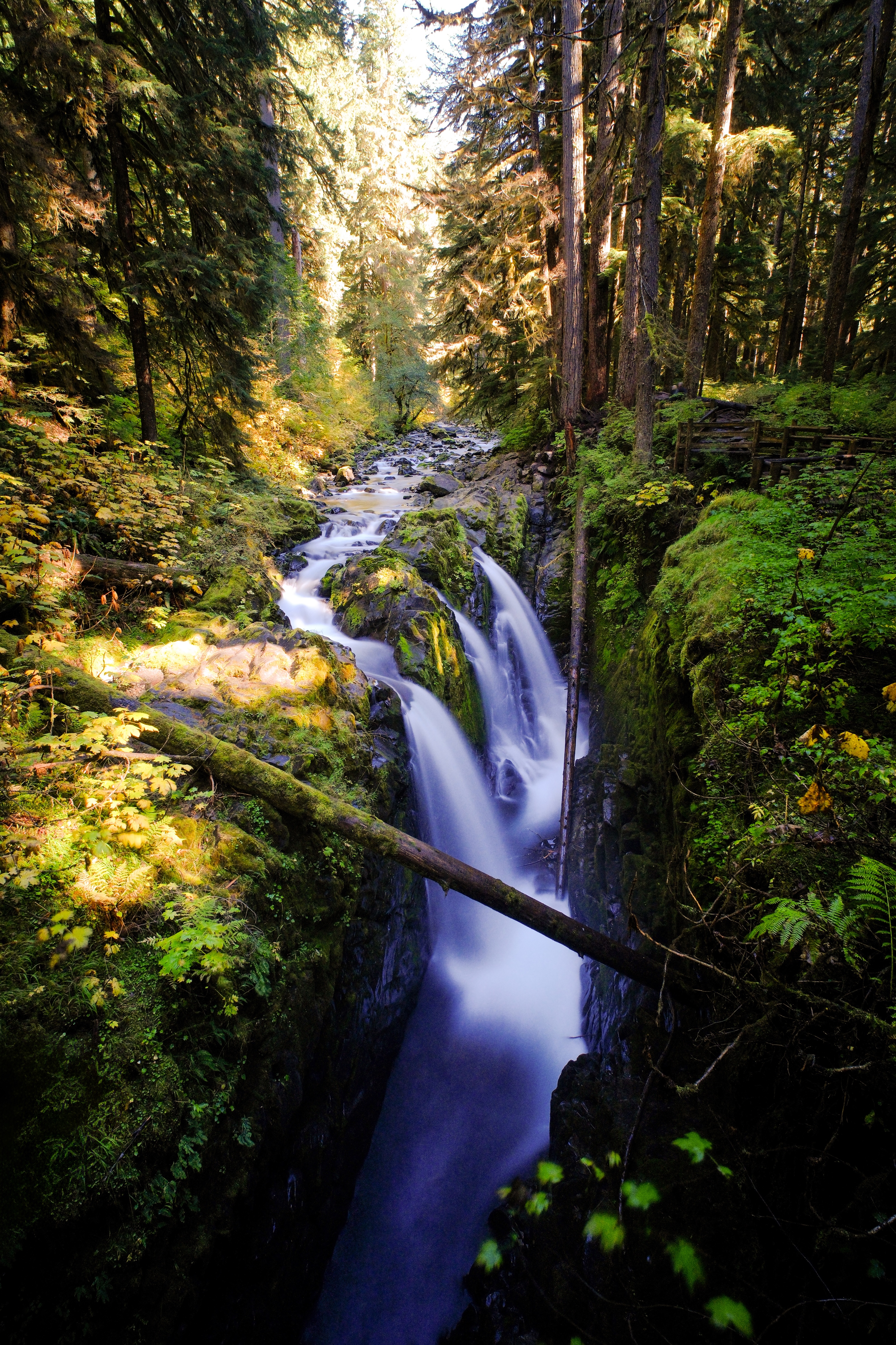 Sol Duc Falls