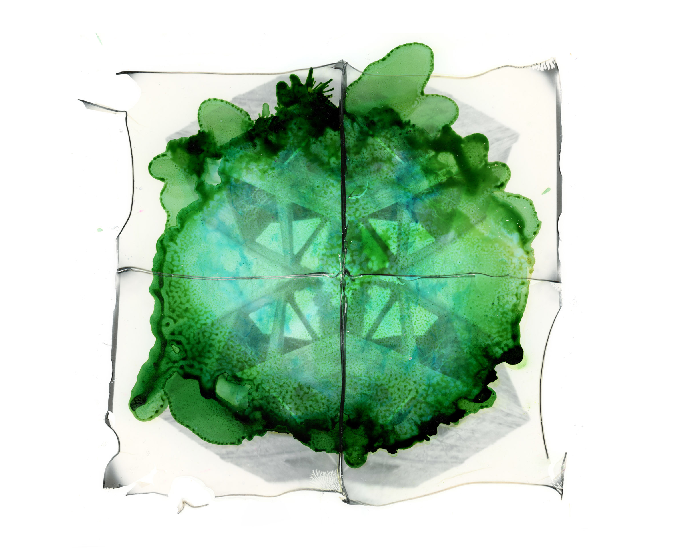 Polaroid Emulsion Lift 1 - Lifted Dreams Series