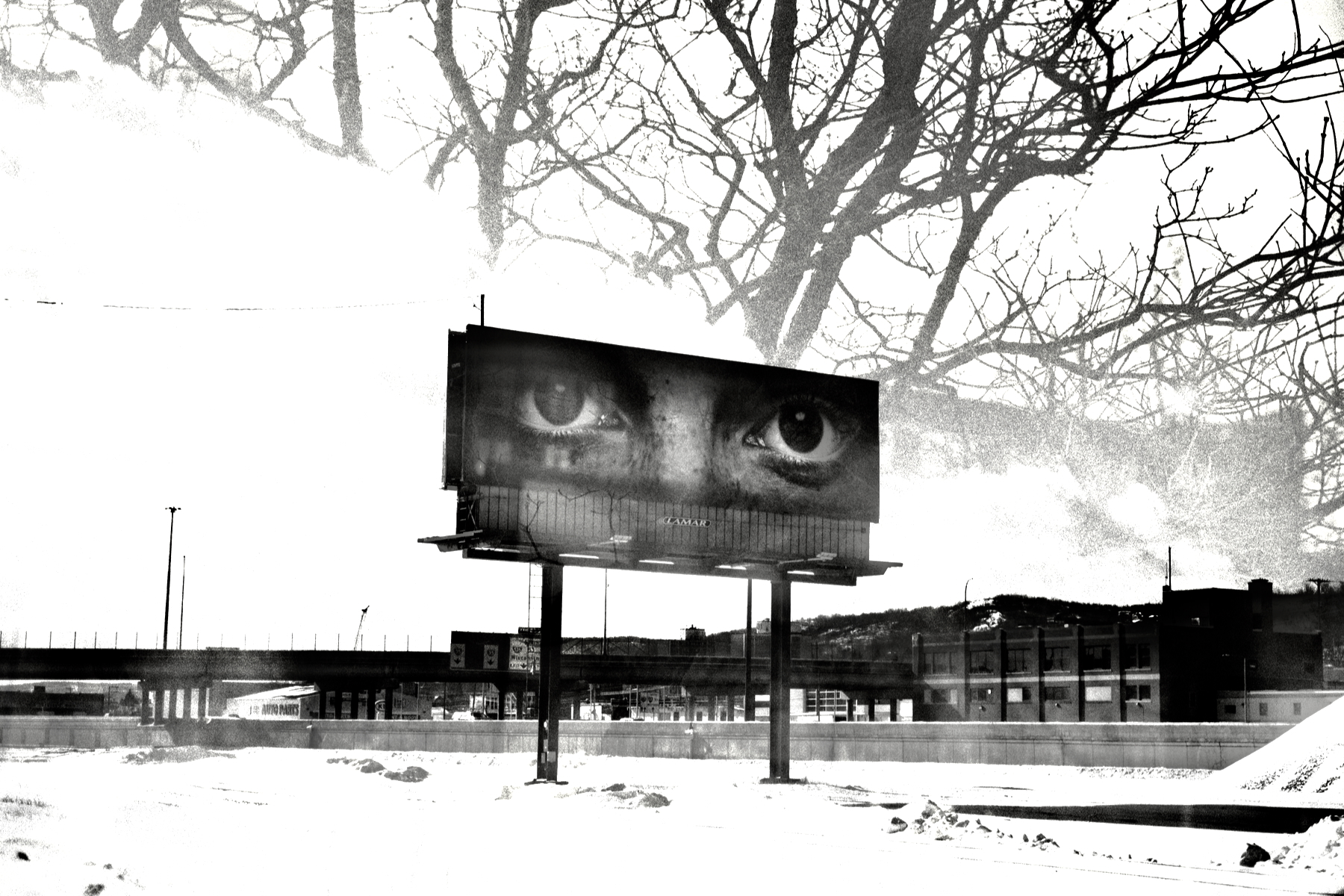 multiple exposure billboard and trees