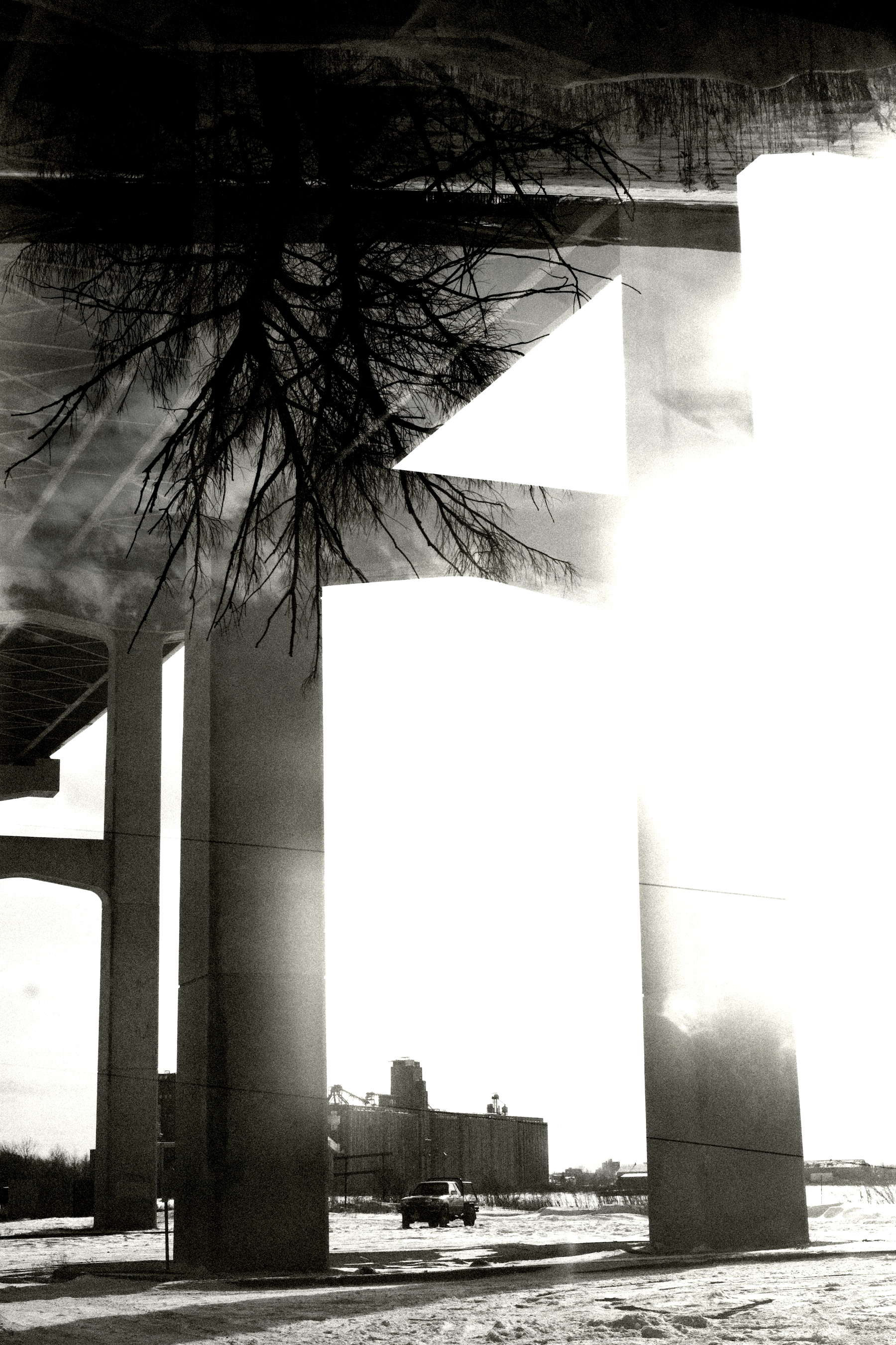 Bridge truck and tree