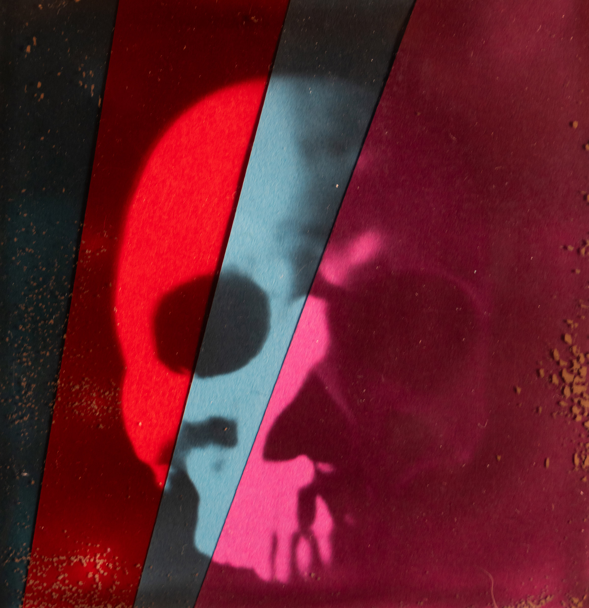 Skull Polaroid Transparency