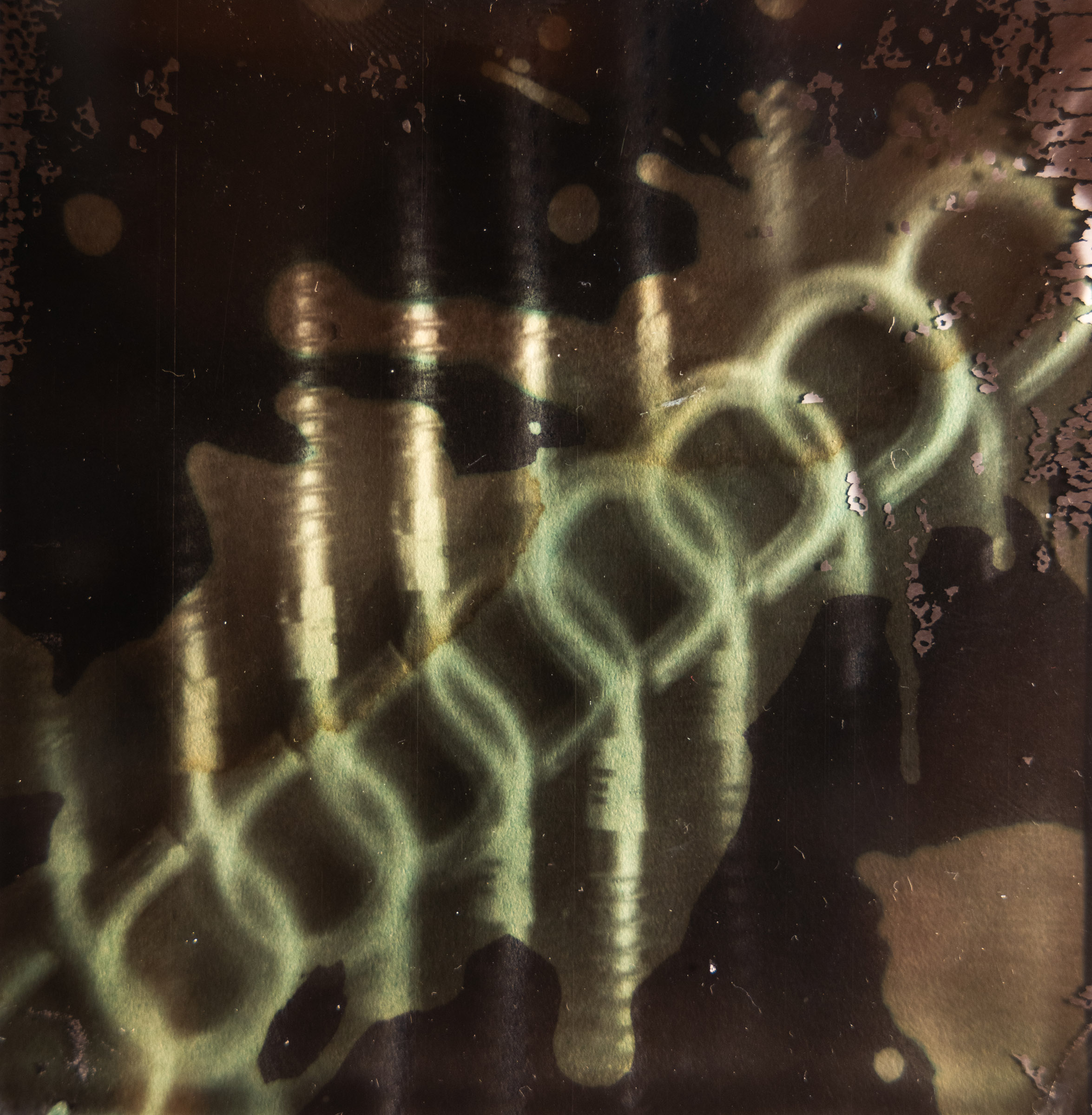 Scew Eye Polaroid Transparency