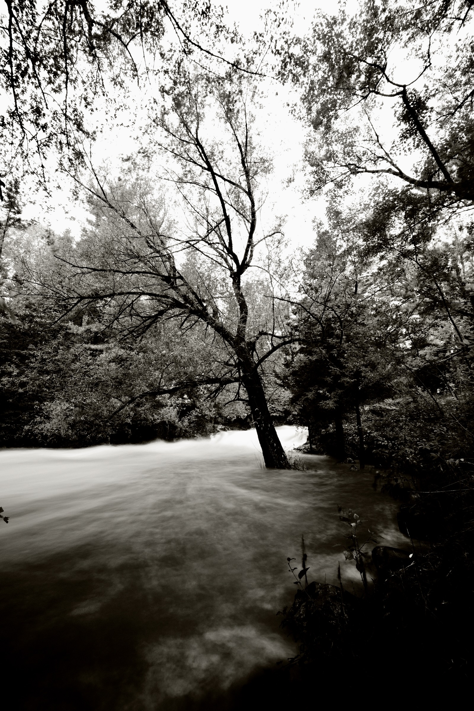 High Water Lester River