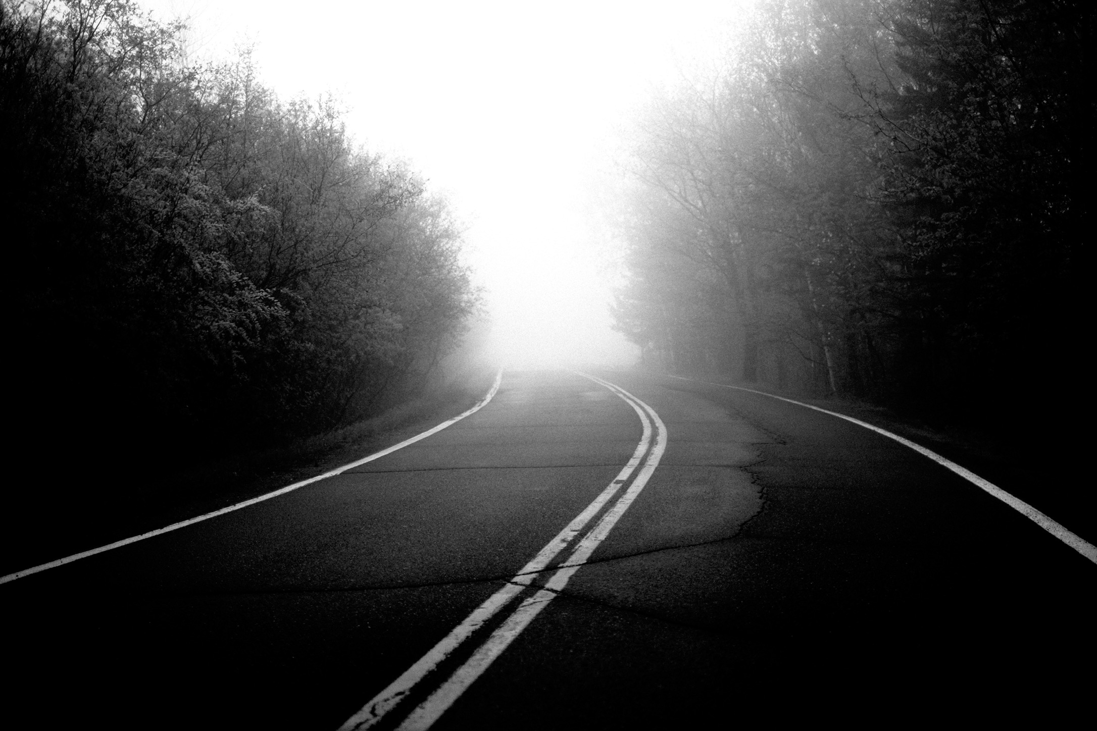 Foggy Road