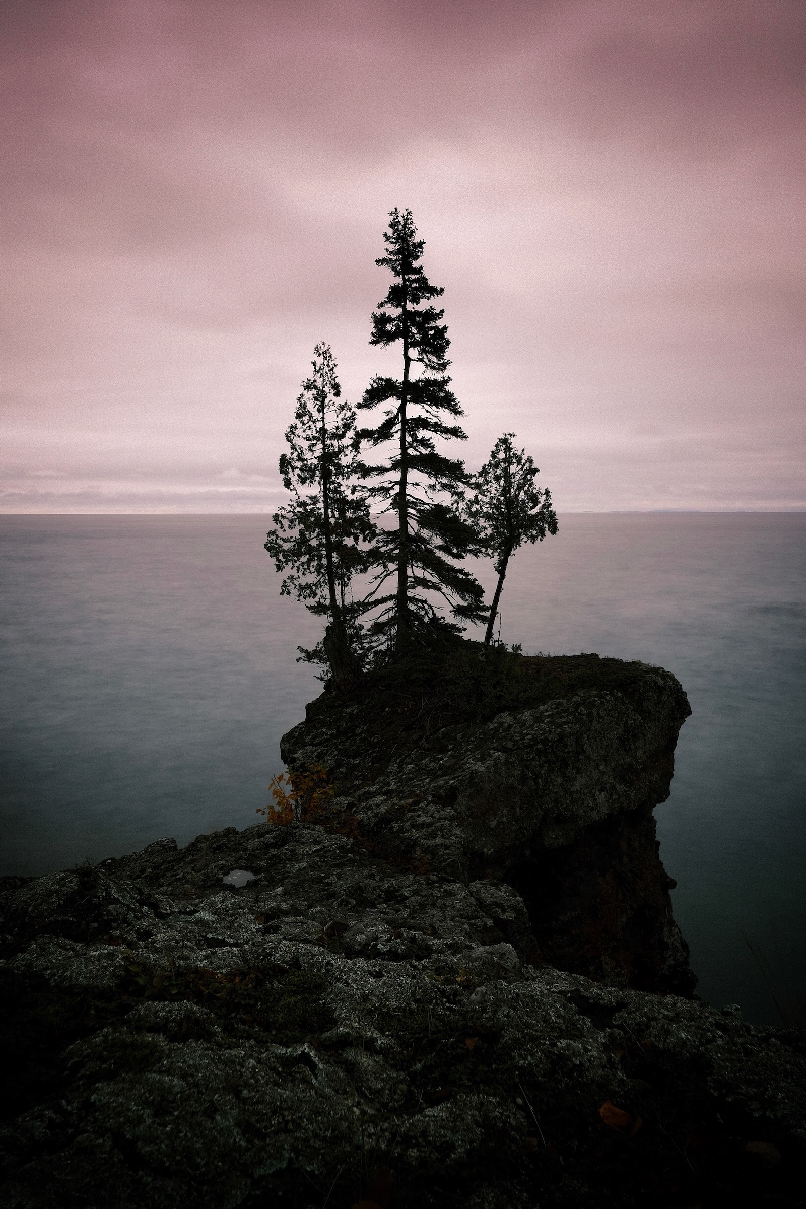Lone Trees by the Water