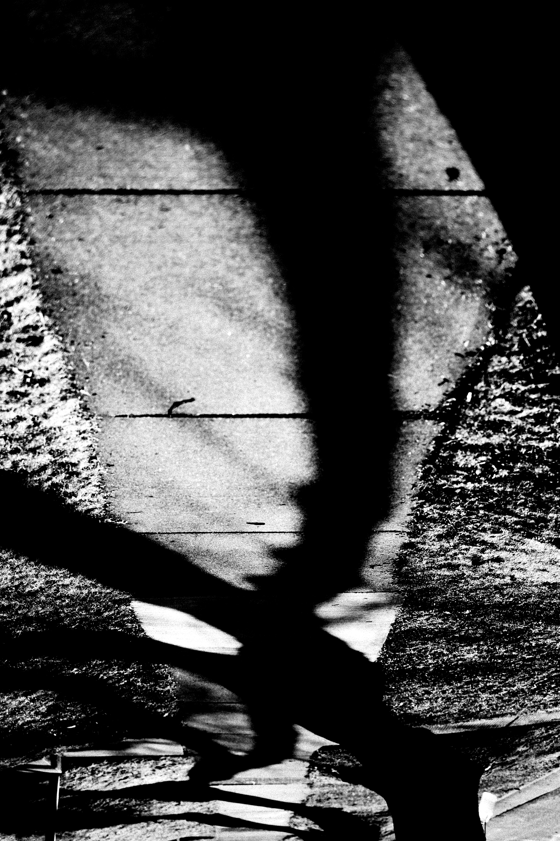 Tree Shadow - Side Walk