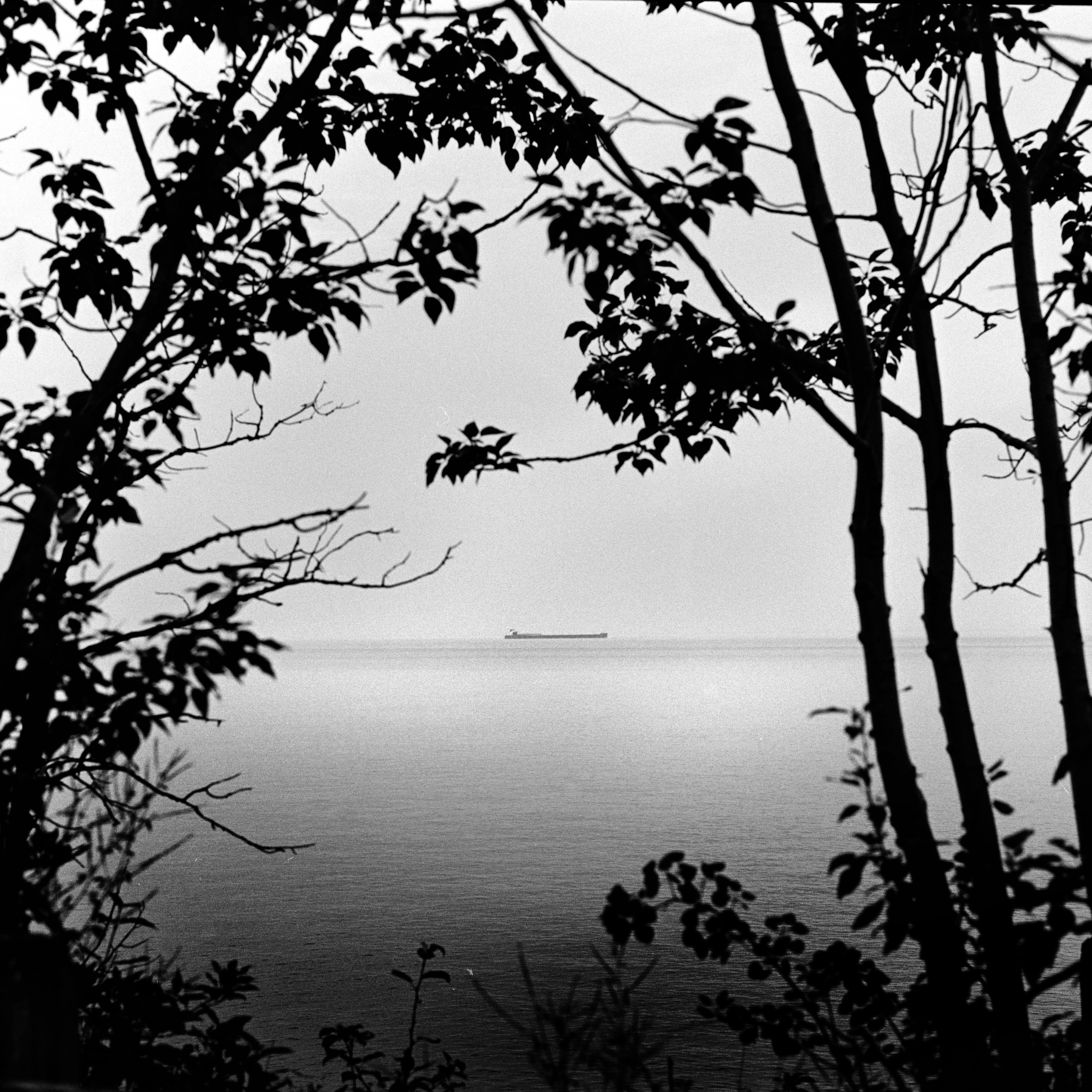 Freighter on the horizon