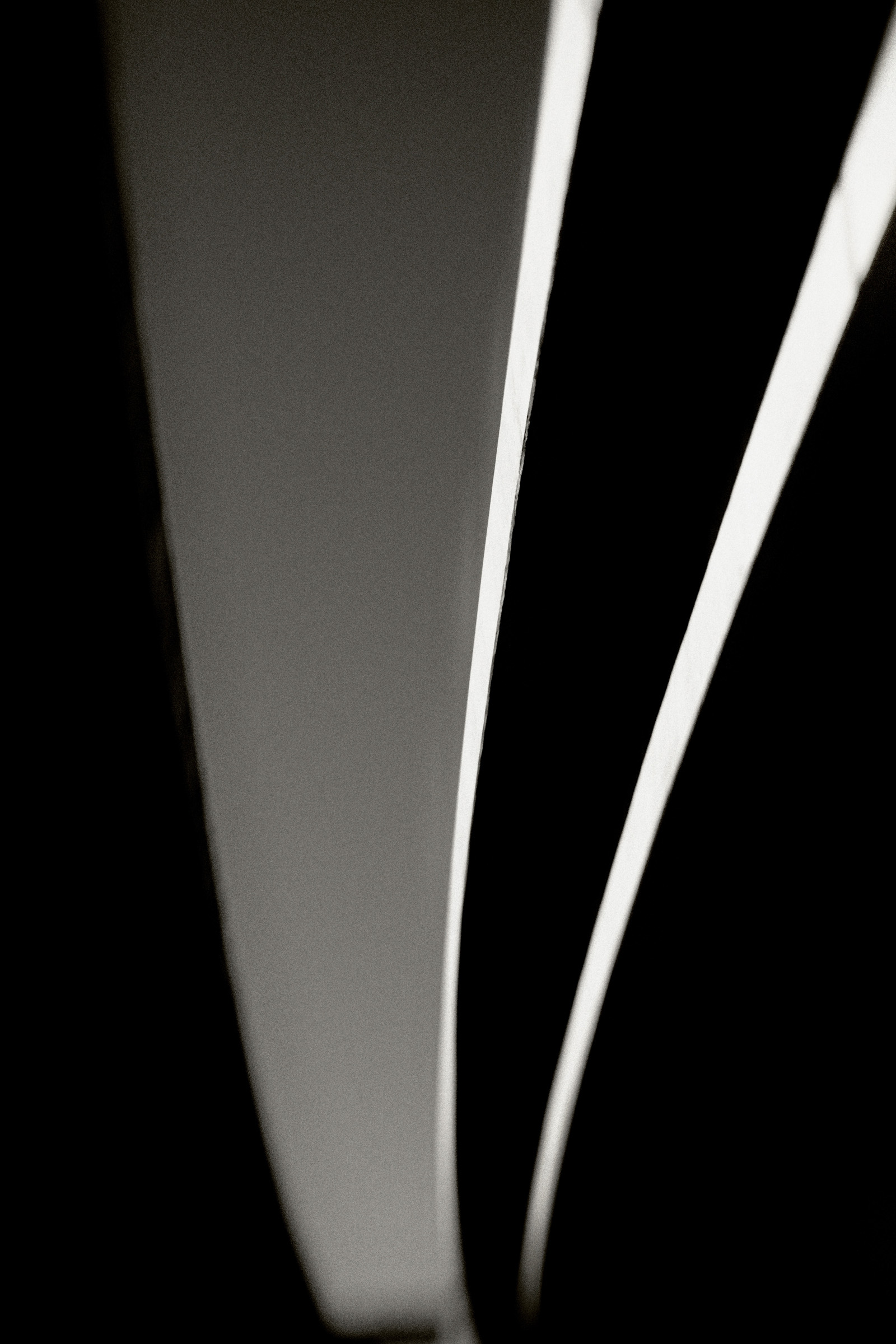 Under the Freeway Facing West