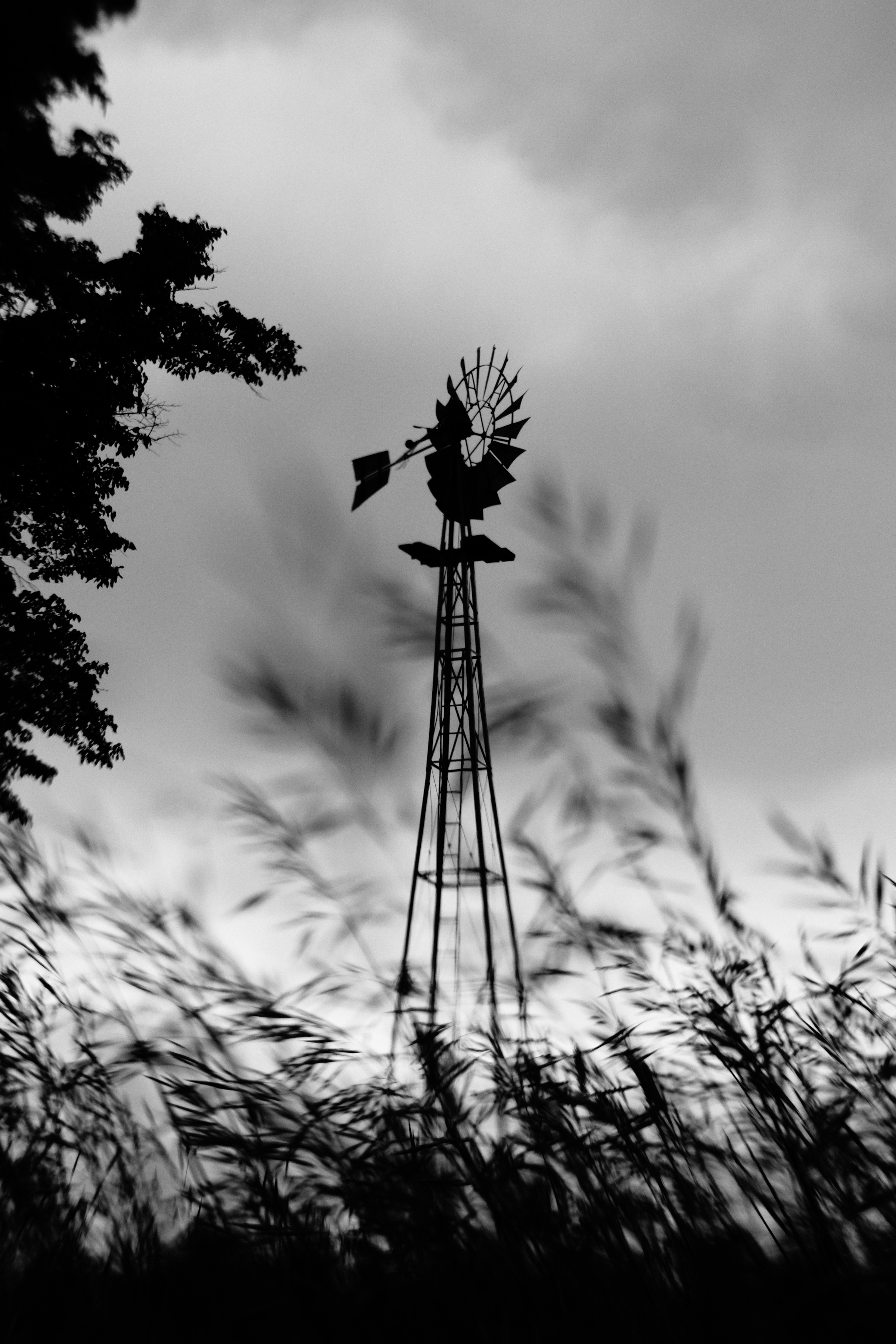 Windmill