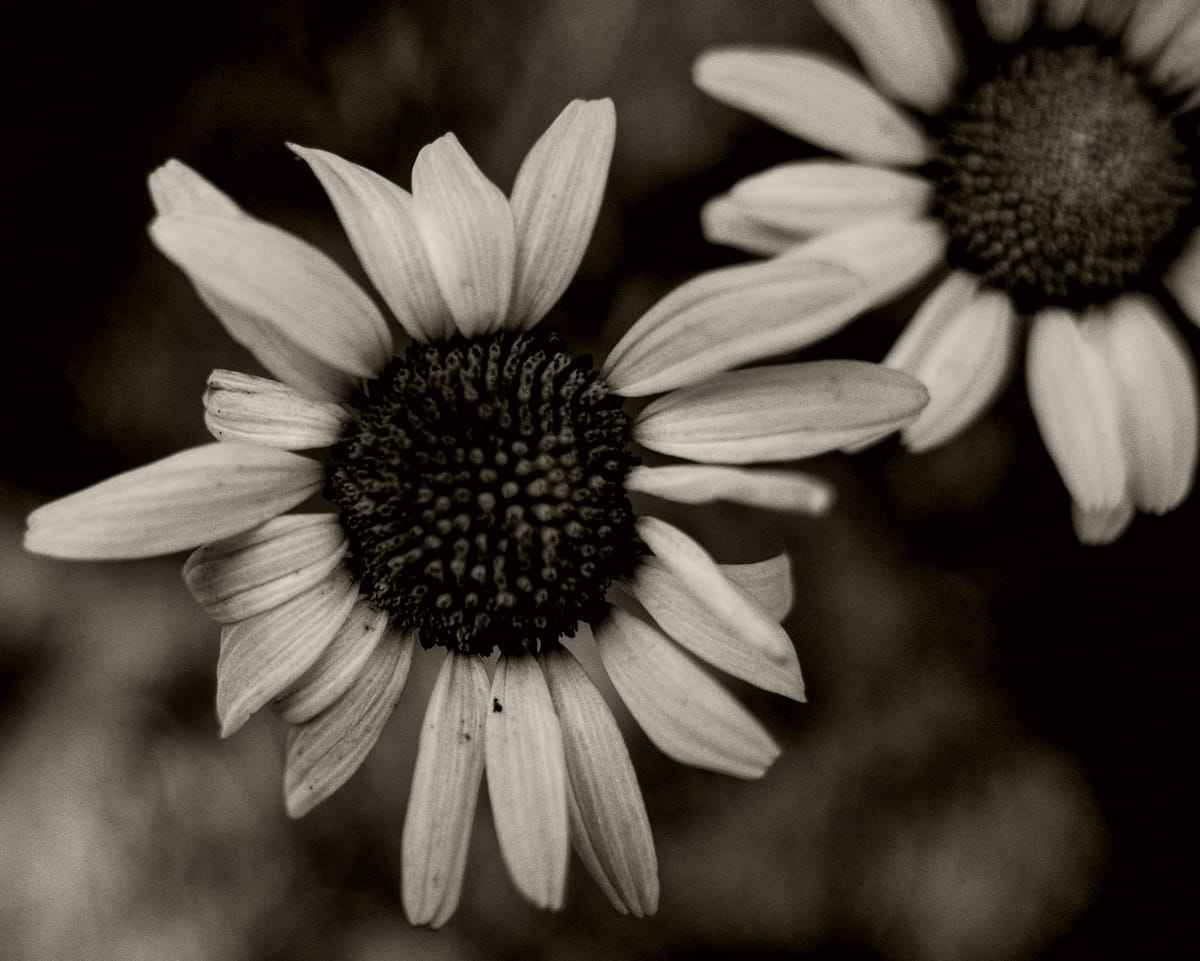 What I Saw This Week