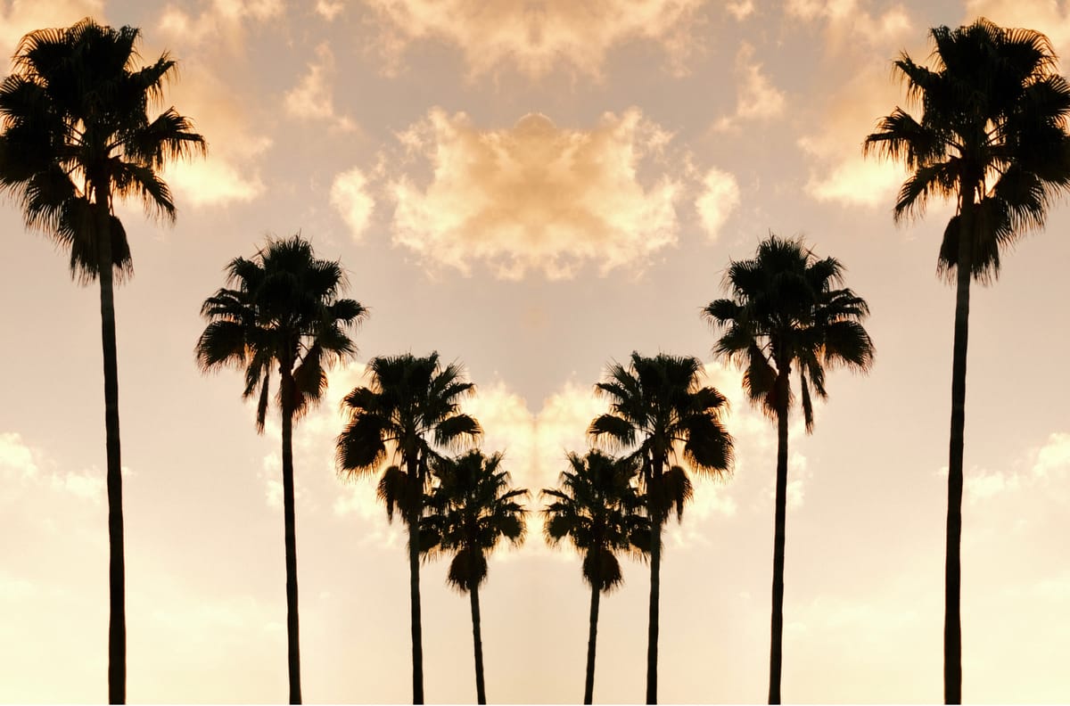 Experimenting at the Jacksonville Airport Hotel