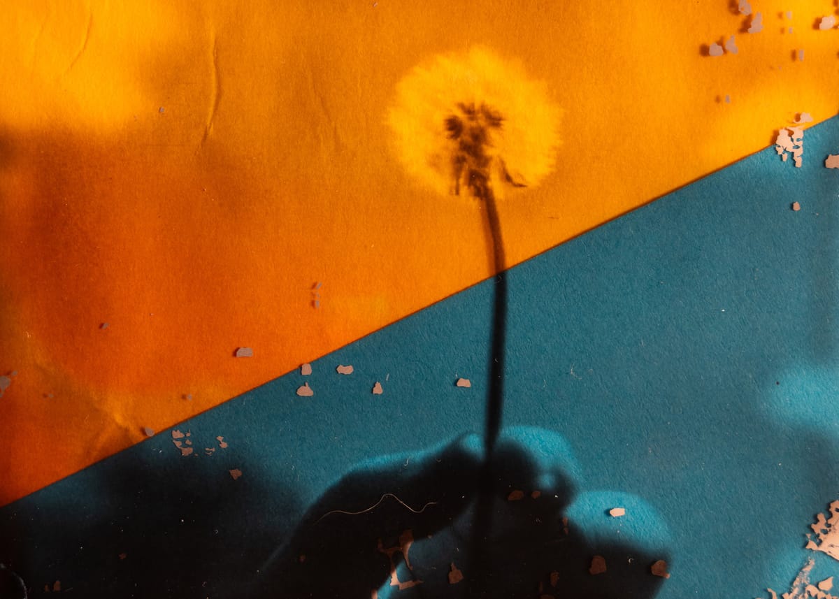 Polaroid Transparencies and Bleach