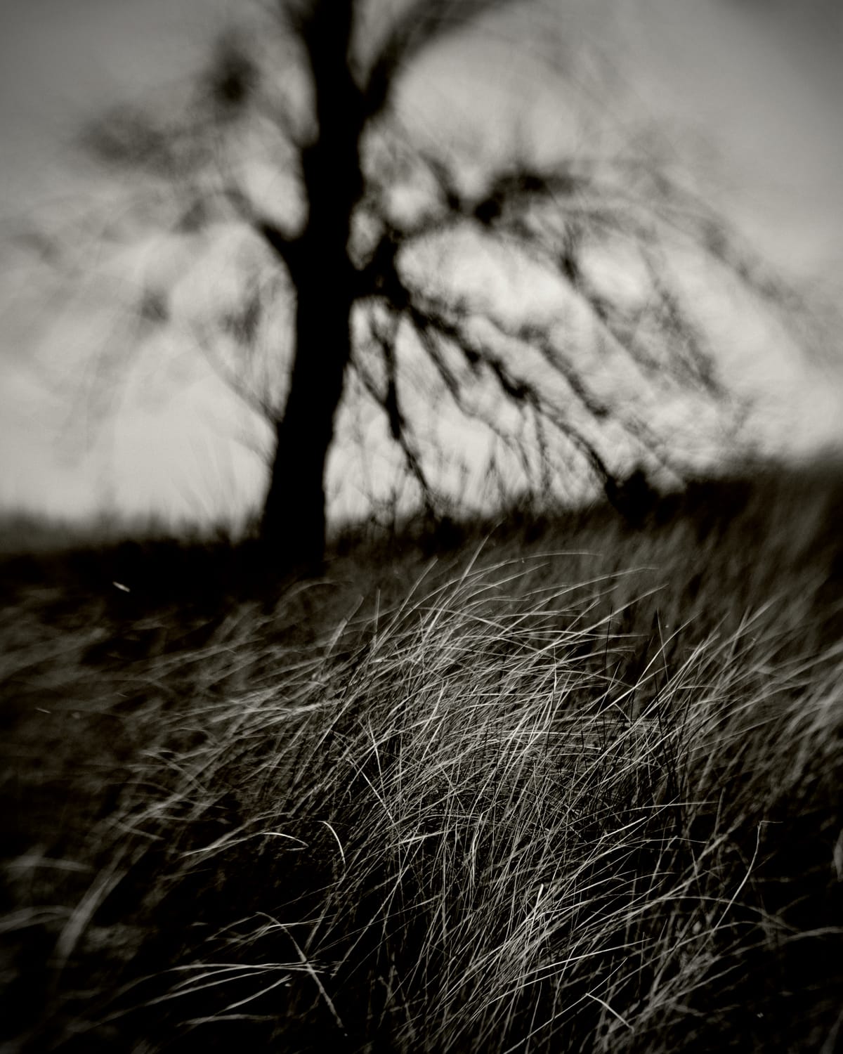 Waiting for the Snow