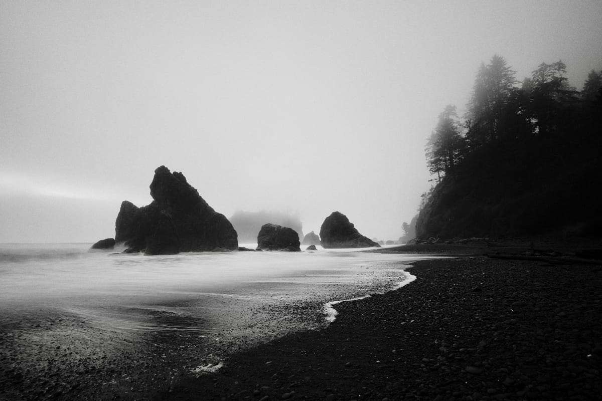 West Coast Black and White