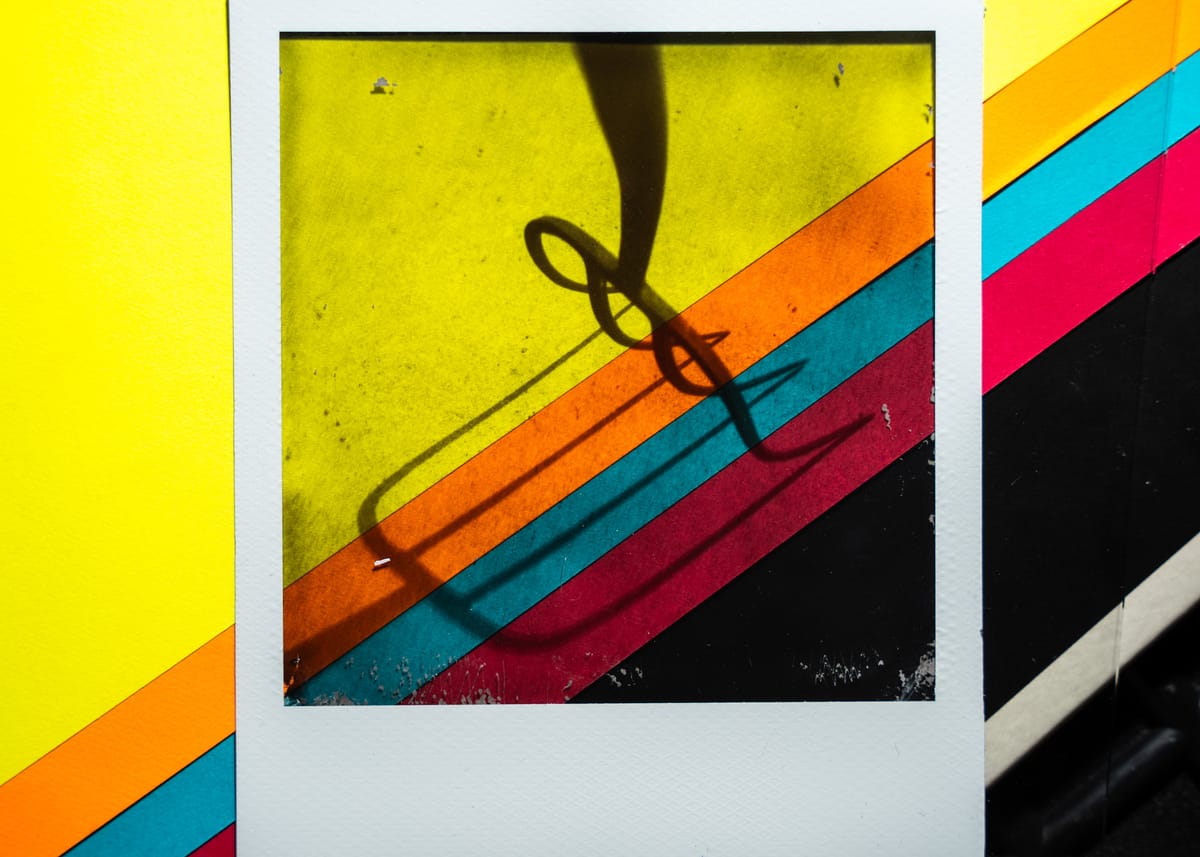 Polaroid Homemade Multichrome