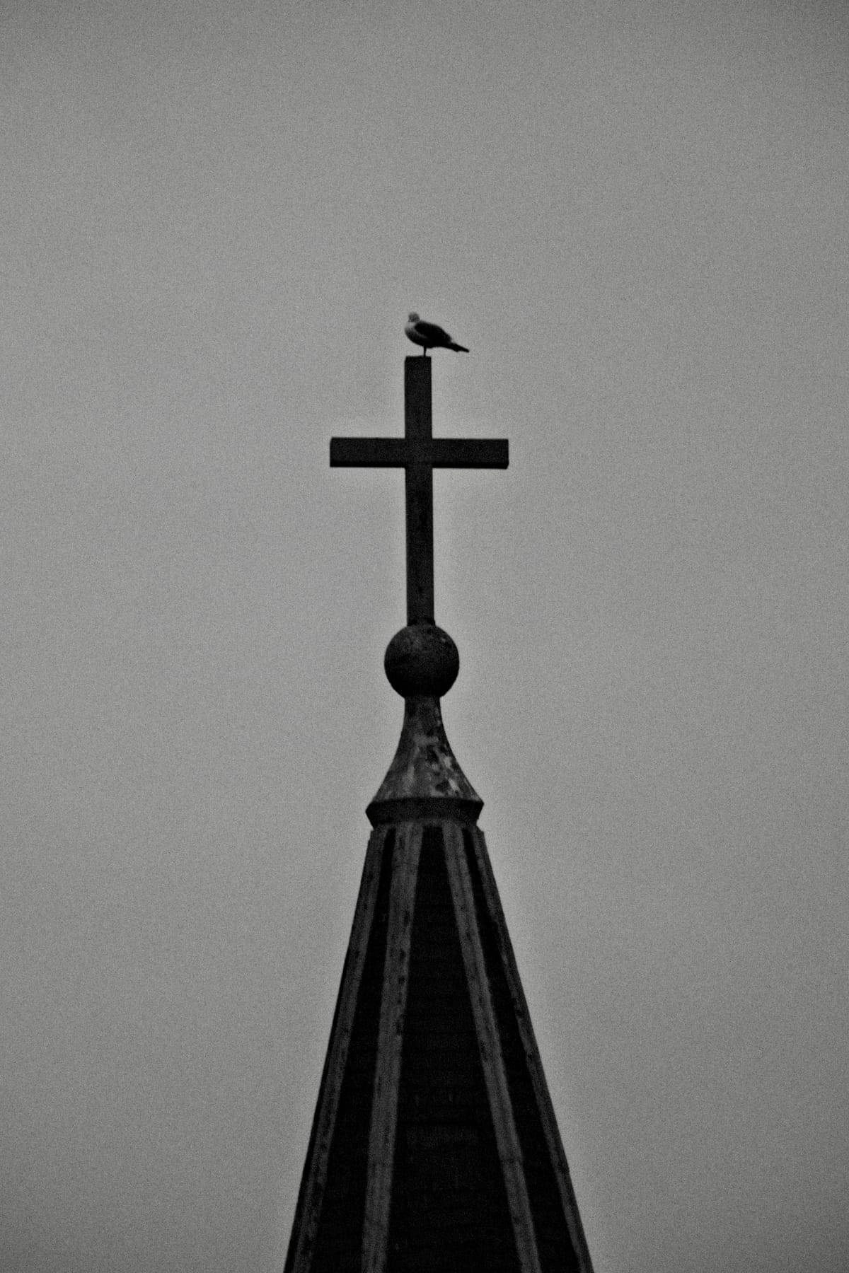 Finding Inspiration in Gloomy Weather