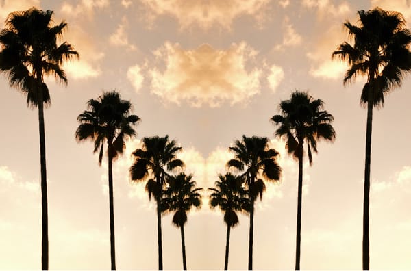 Experimenting at the Jacksonville Airport Hotel