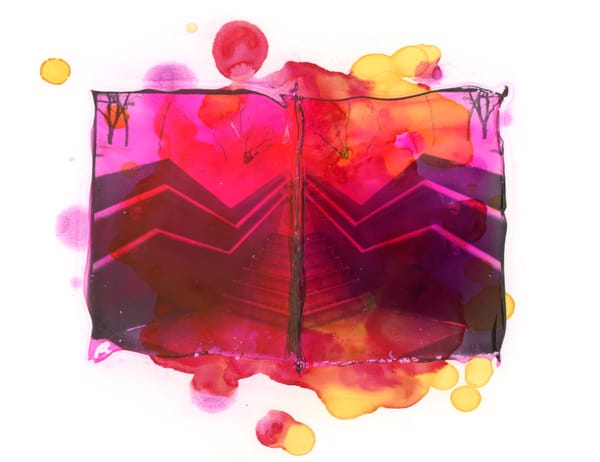 Polaroid Emulsion Lifts