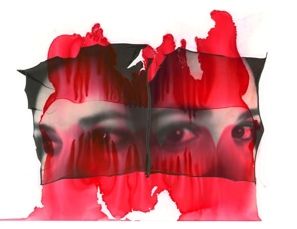 More Polaroid Emulsion Lifts