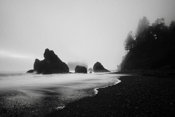 West Coast Black and White