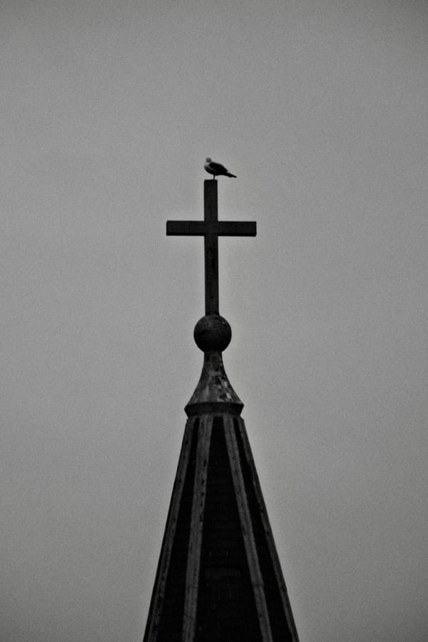 Finding Inspiration in Gloomy Weather