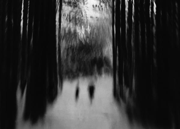 2023 - My Favorite Black and White Photos